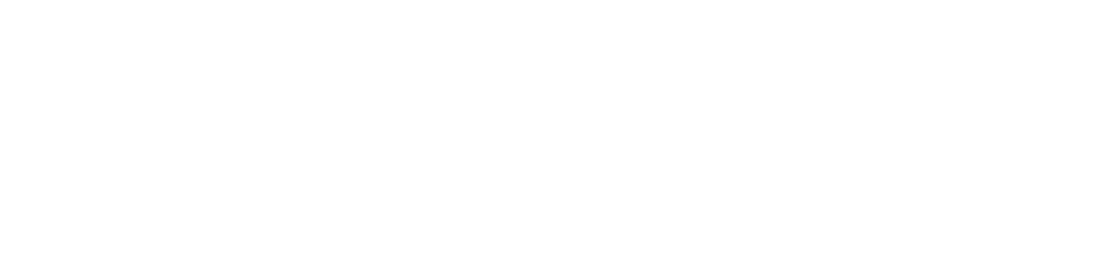 lone-star-funds-logo